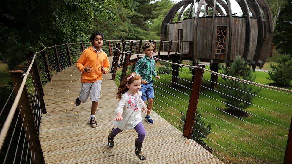 Children run from Woodland Tree House at Kew Gardens